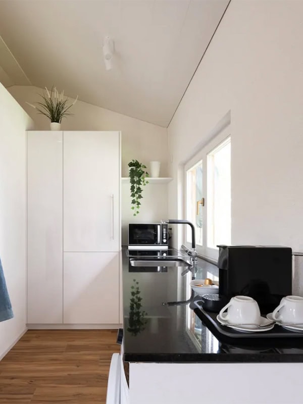 Gemüseaussaat leicht gemacht: Henry Neuhausers Tipps für einen erfolgreichen Start in den Gartensommer